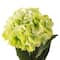 12 Pack: Green Hydrangea Stem by Ashland&#xAE;